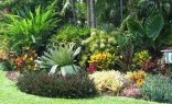 Grand Scene Landscaping & Design Horticulturist